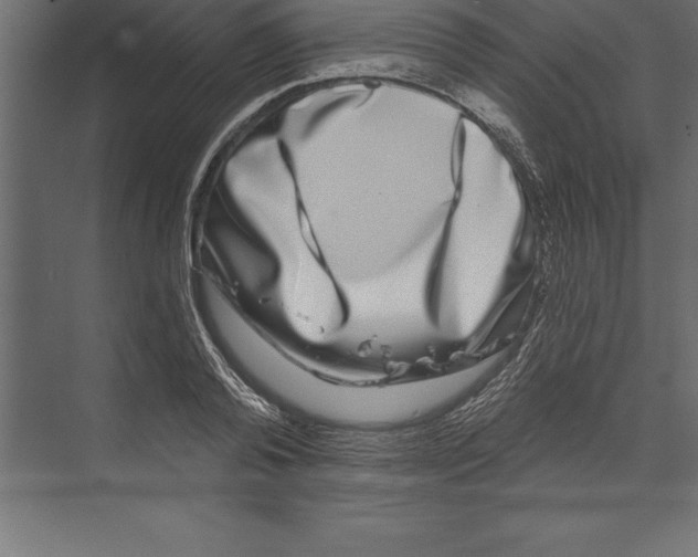 X0000073400792200608181028