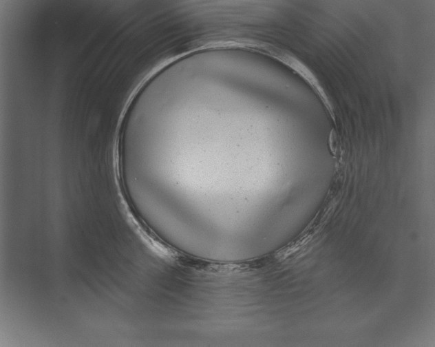 X0000073400811200608181028