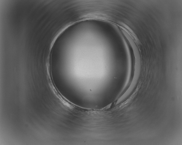 X0000073400812200608181028