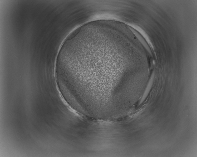X0000073400815200608181028