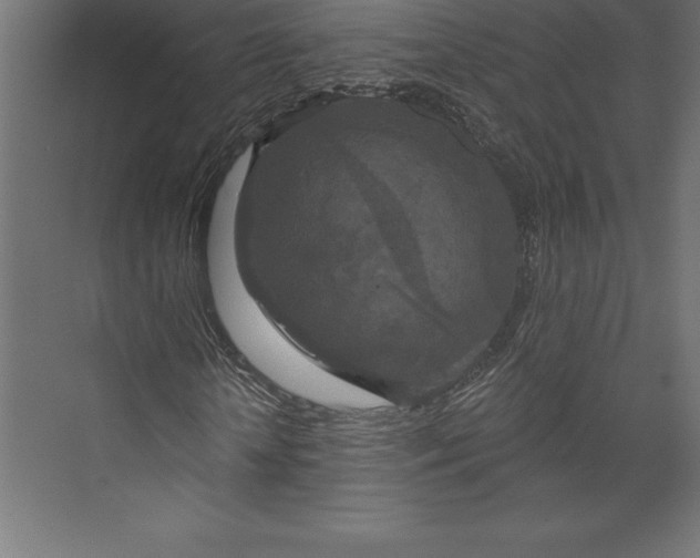 X0000073400818200608181027