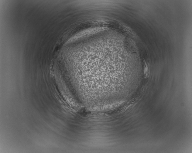 X0000073400819200608181027