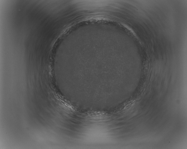 X0000073400823200608181027