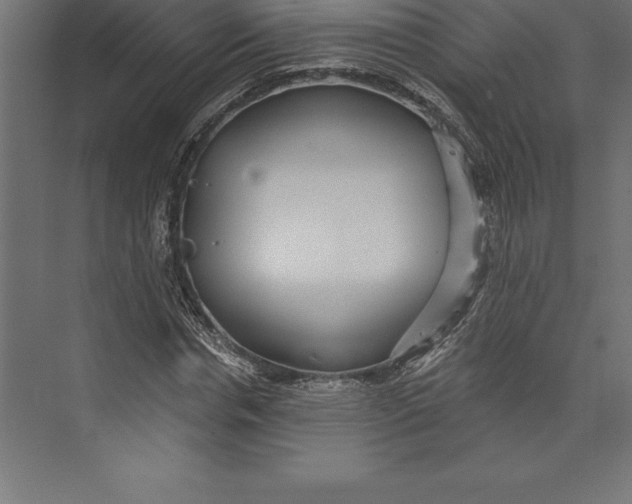 X0000073400826200608181027