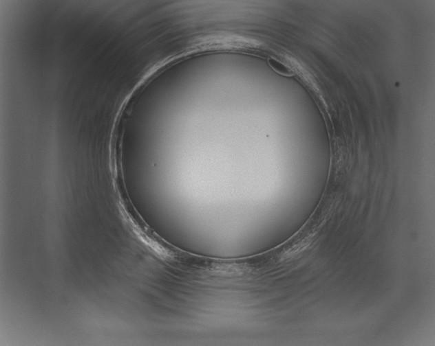 X0000073400843200608181027