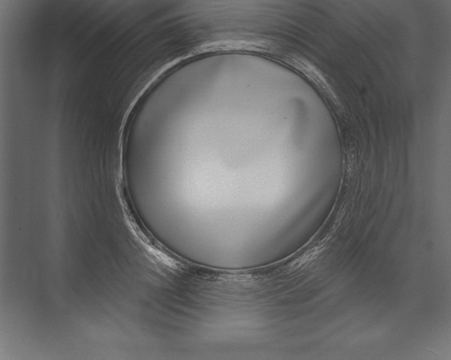 X0000073400844200608181027