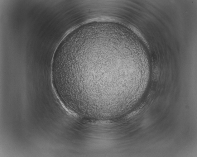 X0000073400845200608181027