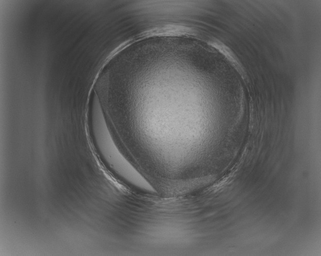 X0000073400850200608181027