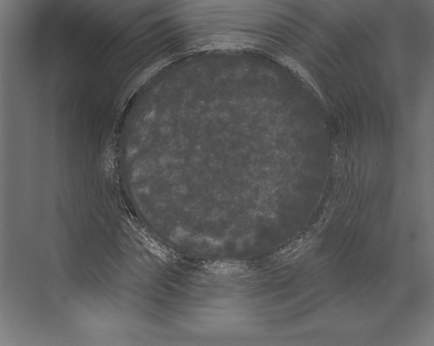 X0000073400874200608181027