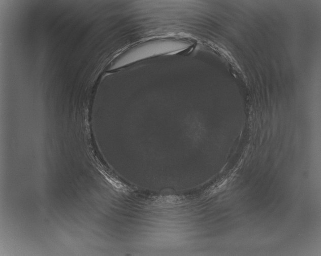 X0000073400881200608181026