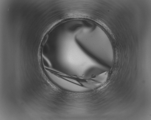 X0000073400885200608181026