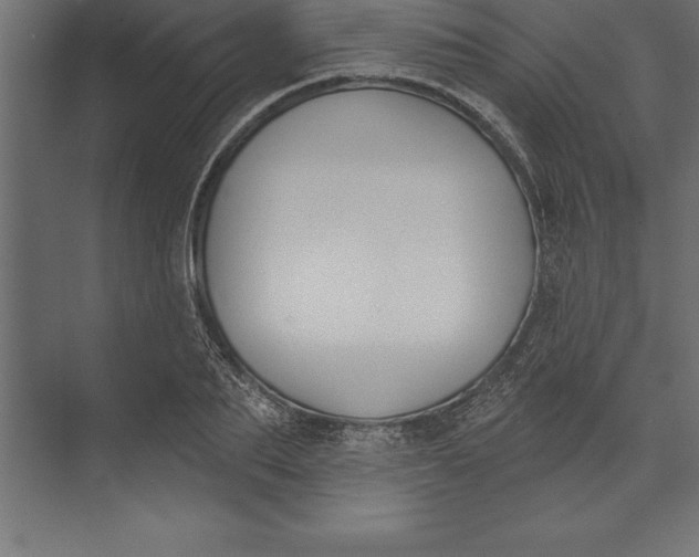 X0000073400887200608181026