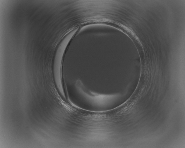 X0000073400889200608181026