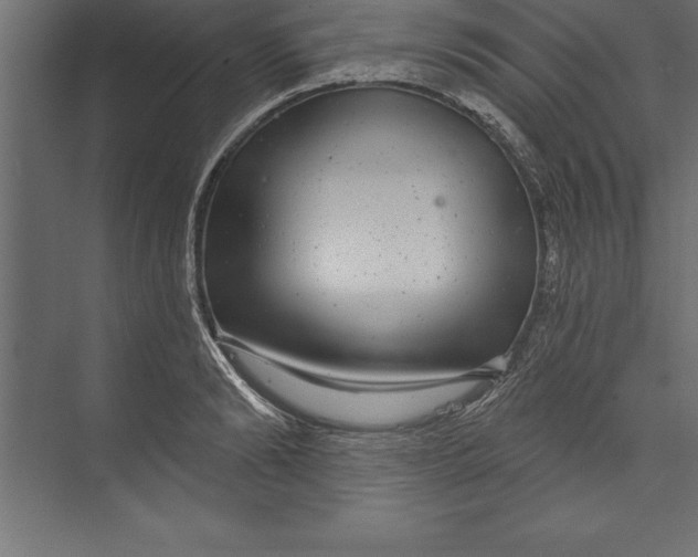 X0000073400894200608181026