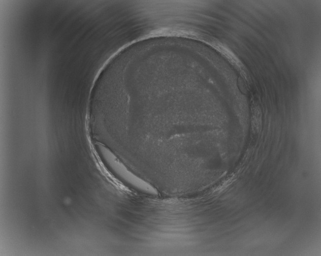 X0000073400896200608181026