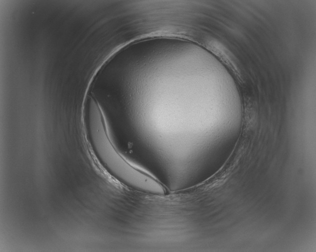X0000073400900200608181026