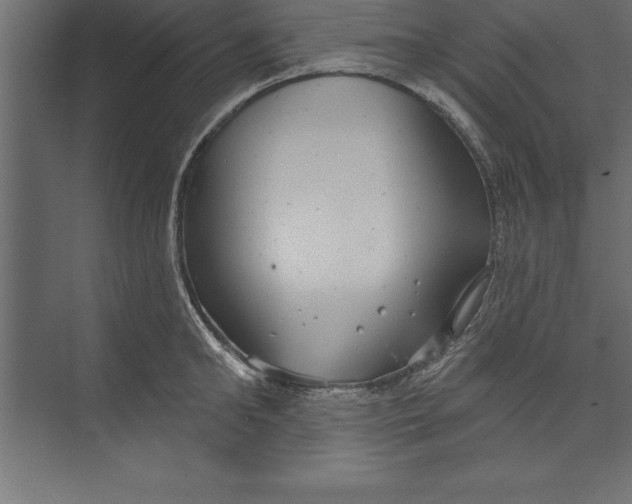 X0000073400902200608181026