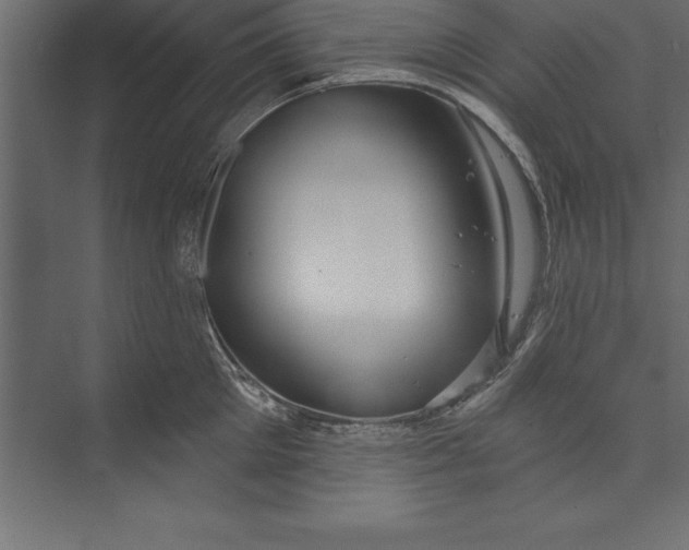 X0000073400905200608181026