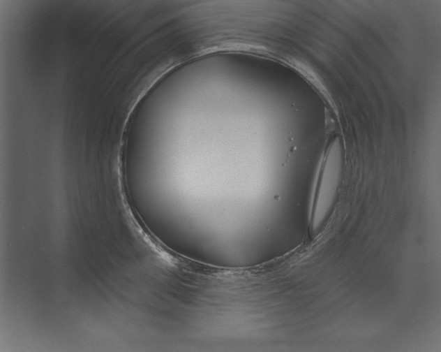 X0000073400906200608181026