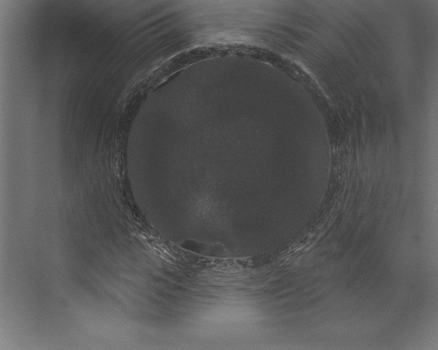 X0000073400919200608181025