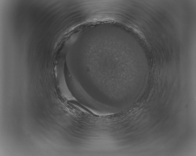 X0000073400920200608181025
