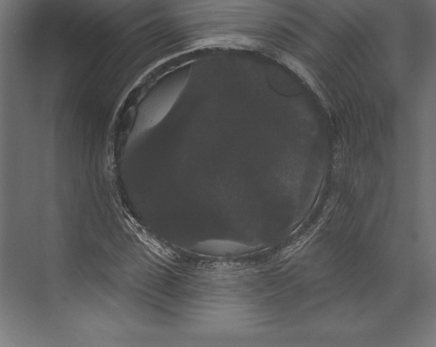 X0000073400923200608181025