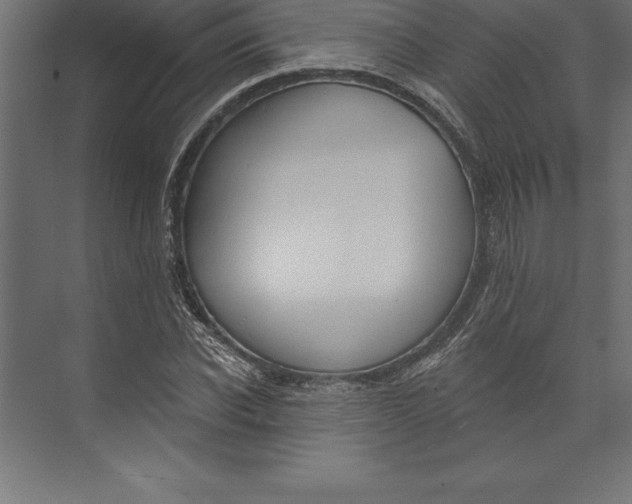 X0000073400926200608181025