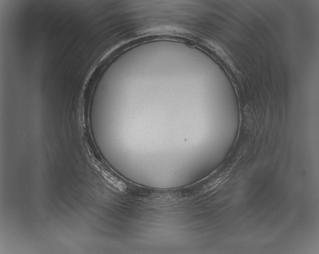 X0000073400931200608181025