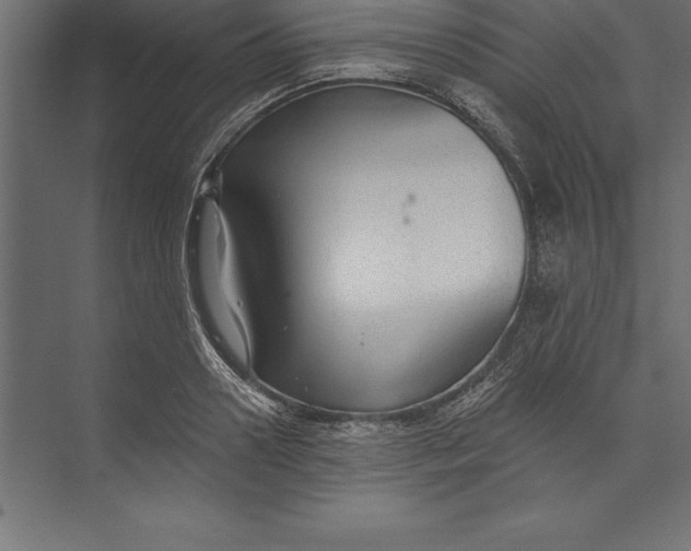 X0000073400938200608181026