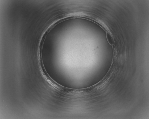 X0000073400939200608181026