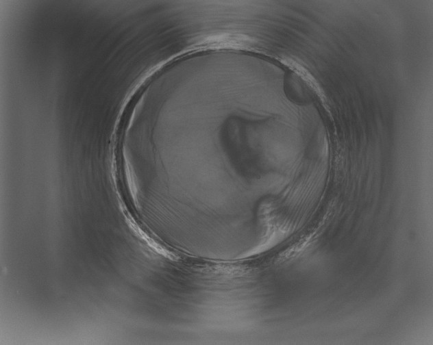 X0000073400941200608181026