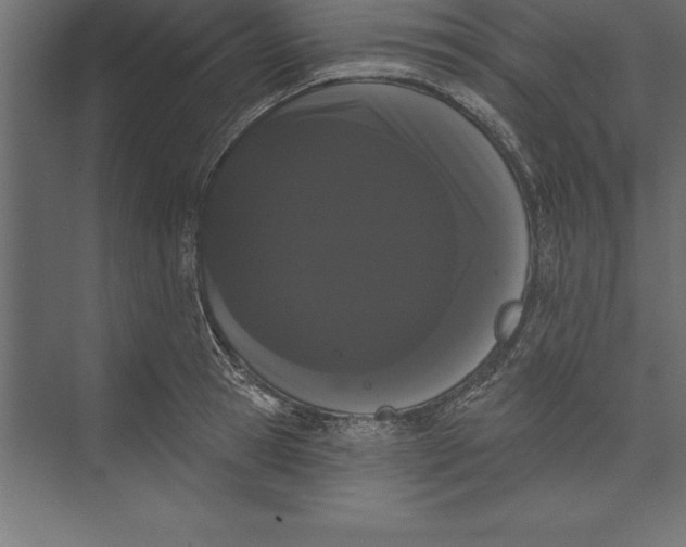 X0000073400945200608181026