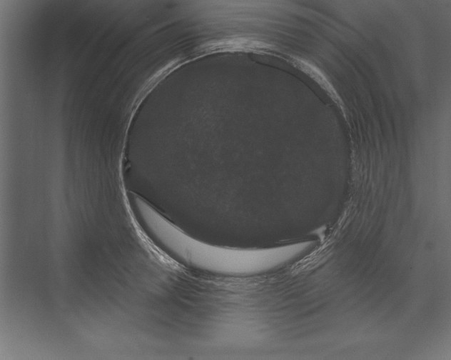 X0000073400946200608181026