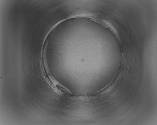 X0000073400948200608181026