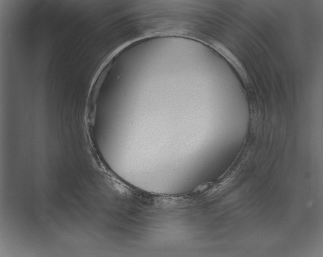 X0000073400956200608181026