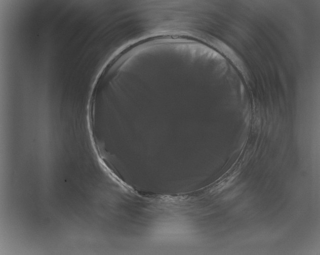 X0000073400958200608181026