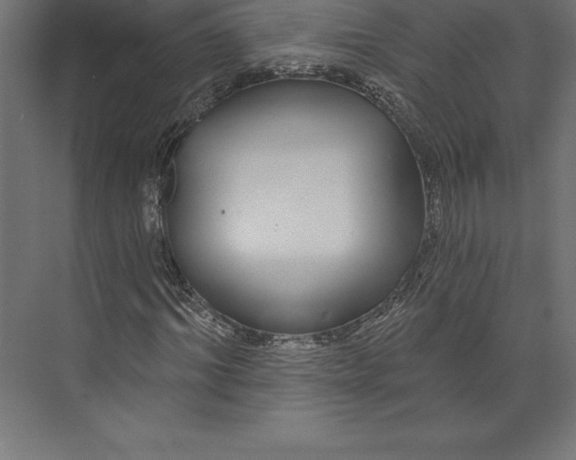 X0000073400964200608181025
