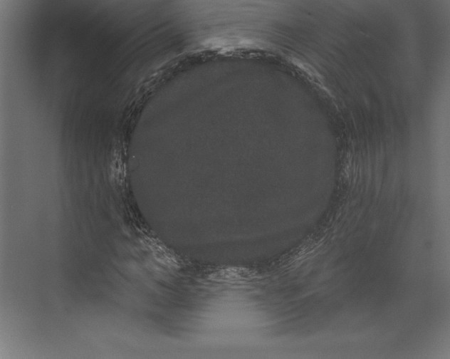 X0000073400966200608181025
