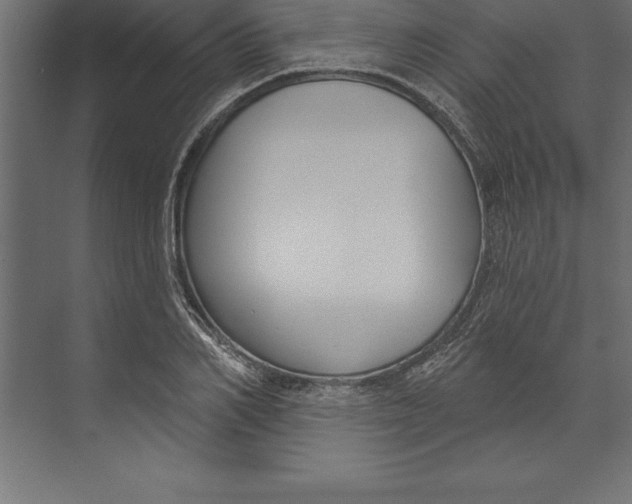 X0000073400982200608181025