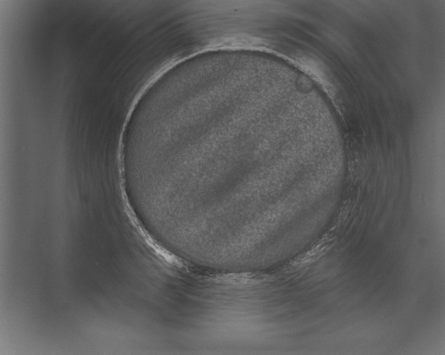 X0000073400990200608181025
