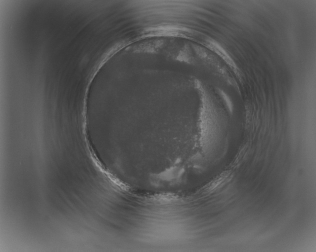 X0000073400994200608181025