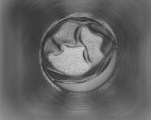 X0000073400997200608181024