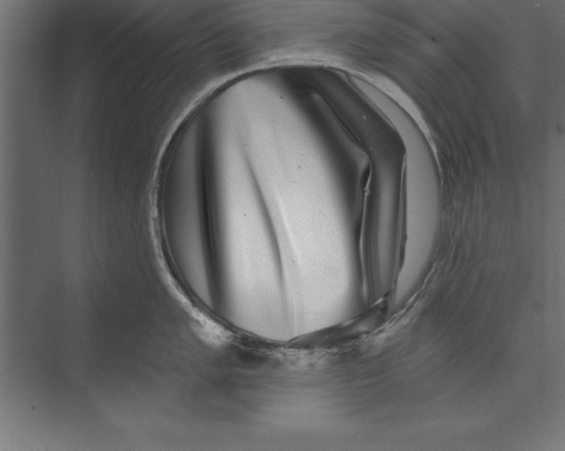 X0000073401005200608181024