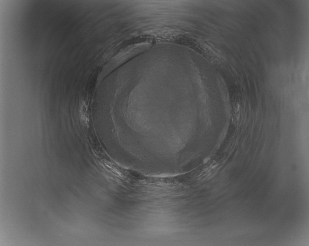 X0000073401010200608181024