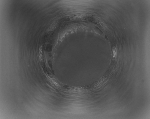 X0000073401011200608181024