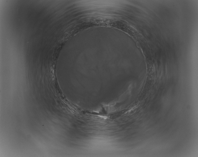 X0000073401013200608181024