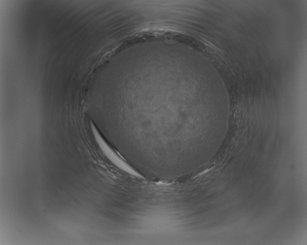 X0000073401014200608181024