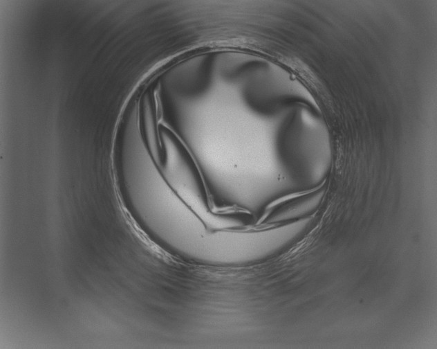X0000073401036200608181024
