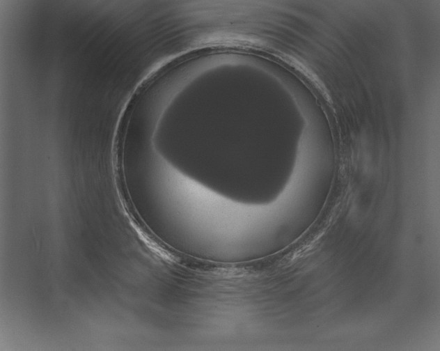 X0000073401037200608181024