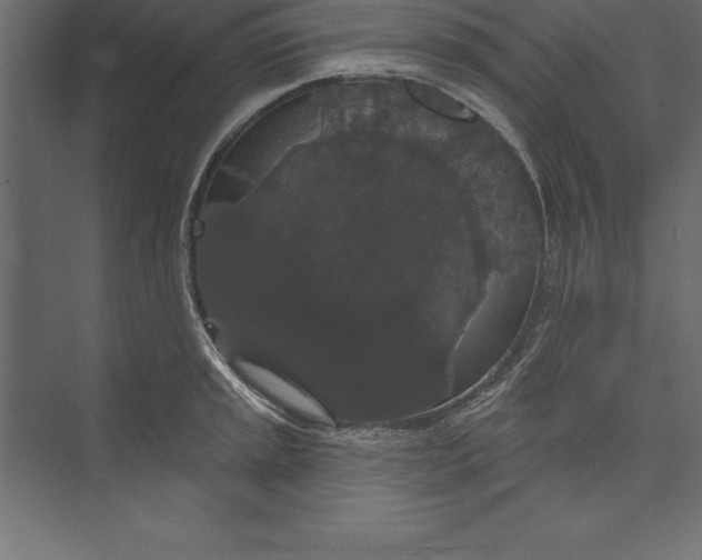 X0000073401045200608181024